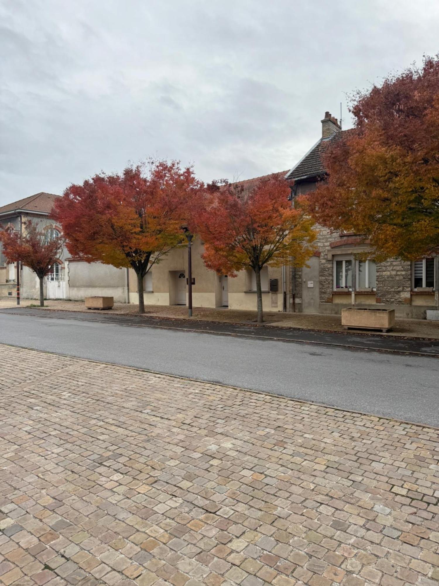 Appartement Cosy Dans Le Coeur De Witry-Les-Reims 외부 사진